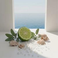 Отдушка по мотивам Wood Sage & Sea Salt - Jo Malone