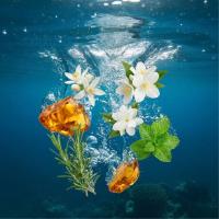 Отдушка по мотивам Cool Water - Davidoff